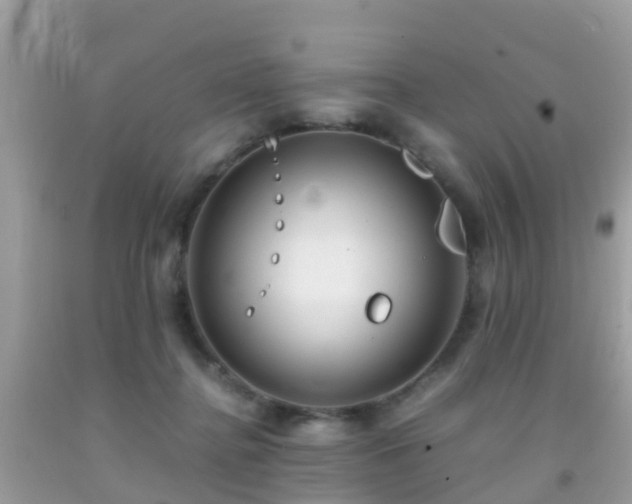 X0000091940364200709051527