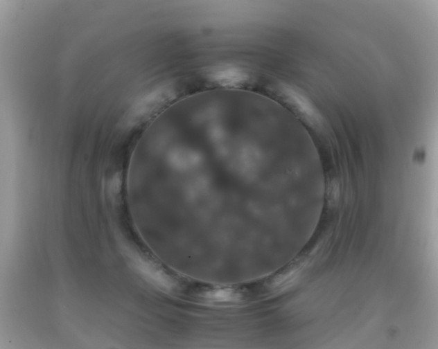 X0000091940365200709051527