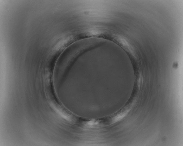 X0000091940366200709051527