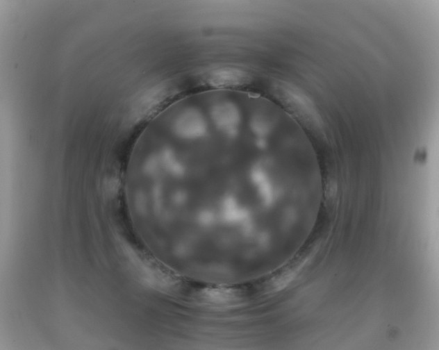 X0000091940367200709051527