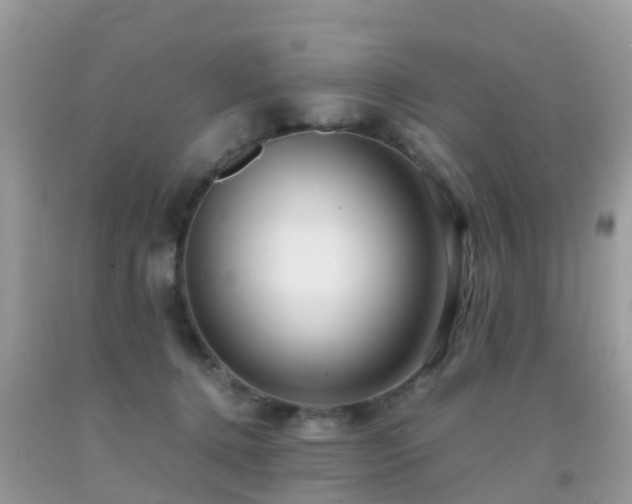 X0000091940368200709051527