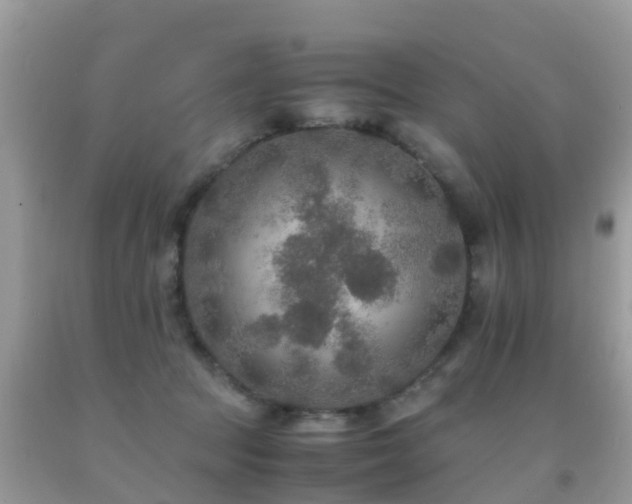 X0000091940369200709051527