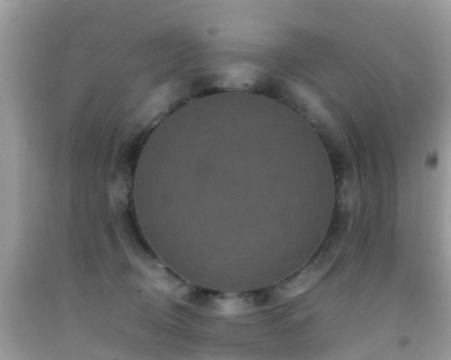 X0000091940370200709051527