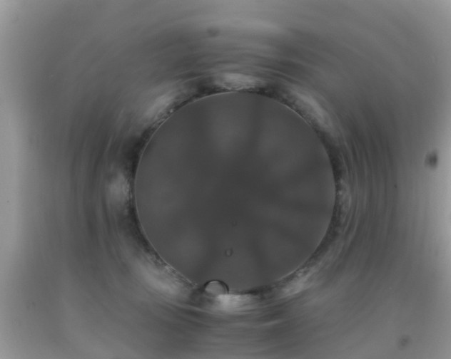 X0000091940371200709051527