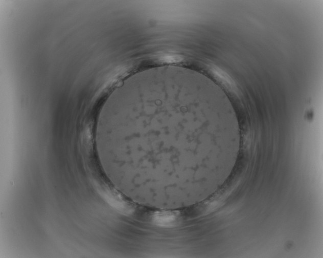 X0000091940373200709051527