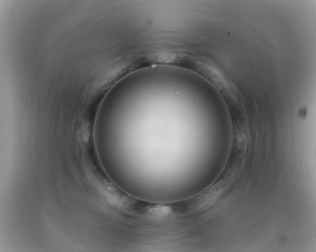 X0000091940374200709051527