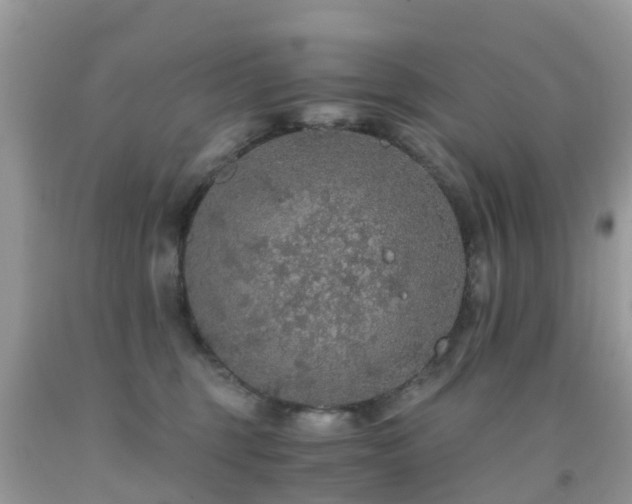 X0000091940375200709051527