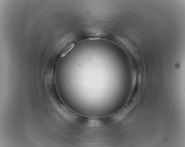 X0000091940376200709051527