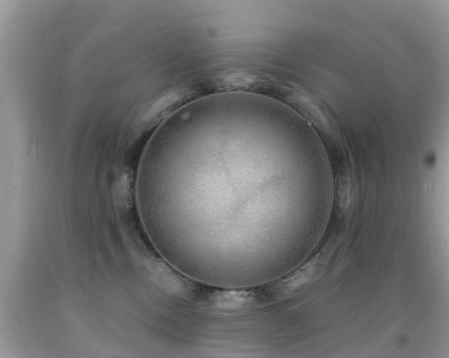 X0000091940378200709051527