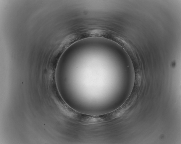 X0000091940379200709051527