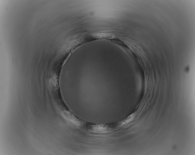 X0000091940380200709051527