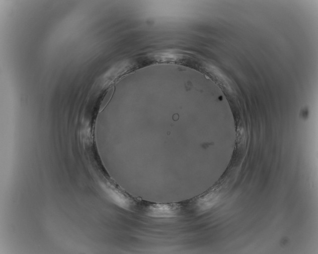 X0000091940381200709051527