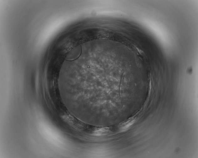 X0000091940382200709051527