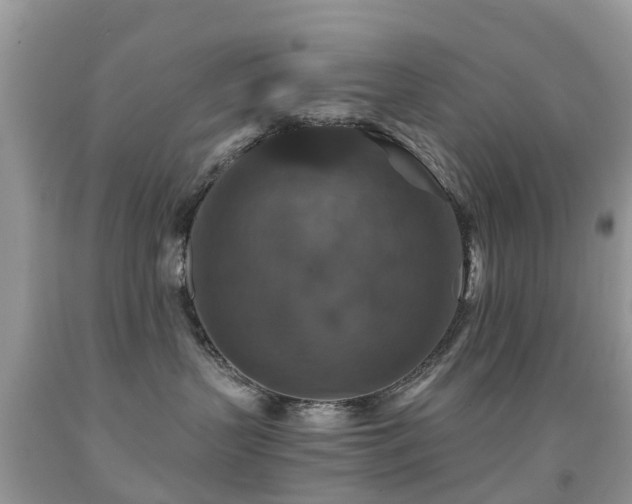 X0000091940383200709051527