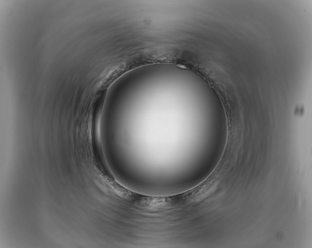 X0000091940384200709051527