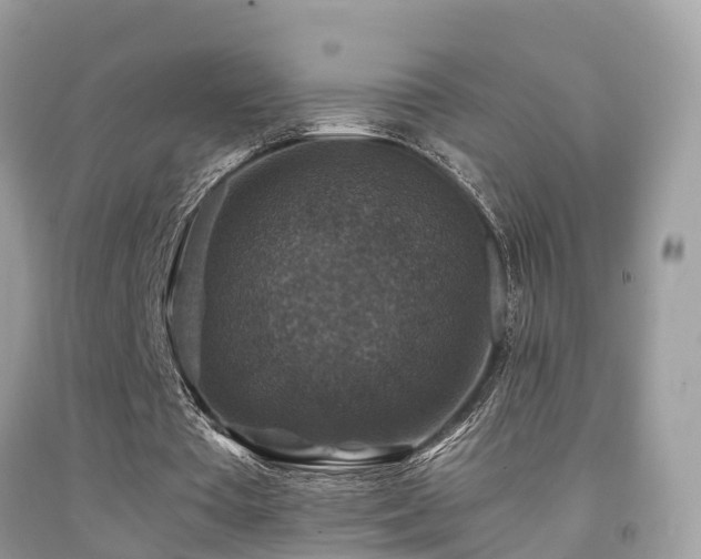 X0000091940385200709051527