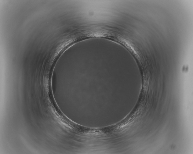 X0000091940386200709051527