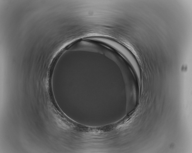 X0000091940387200709051527