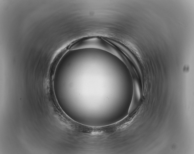 X0000091940388200709051527