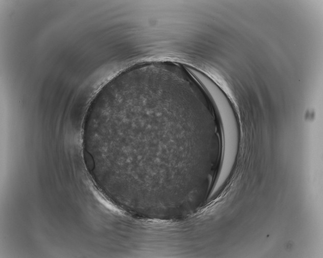 X0000091940389200709051527