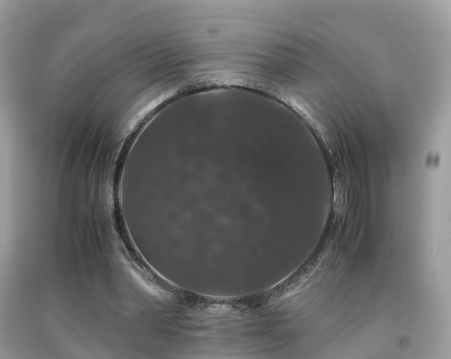 X0000091940390200709051527