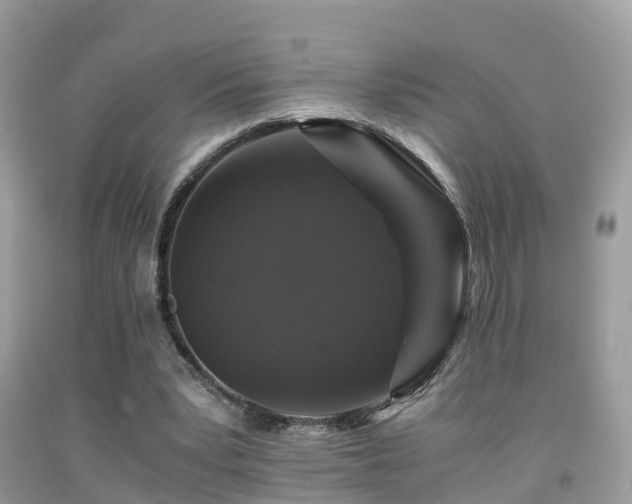 X0000091940391200709051527