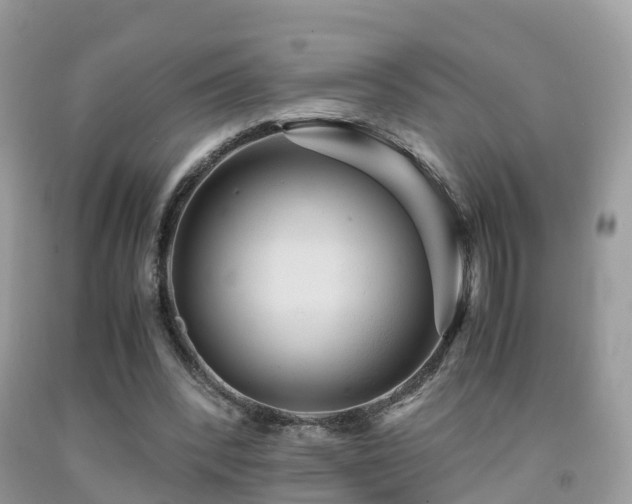 X0000091940392200709051527