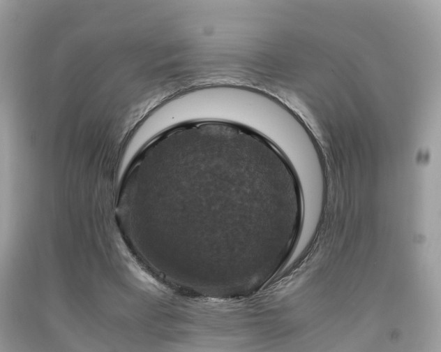 X0000091940393200709051527