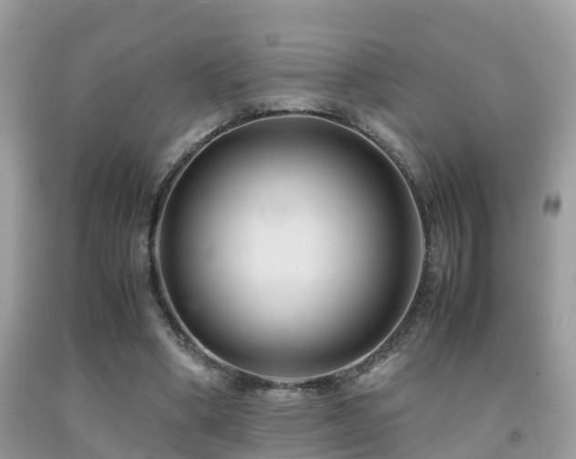 X0000091940394200709051527