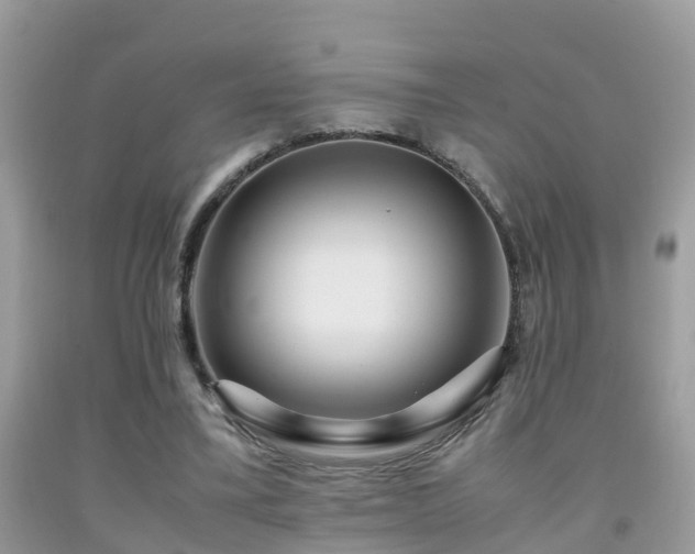 X0000091940395200709051527