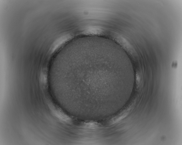 X0000091940396200709051527