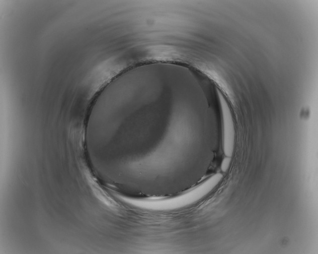 X0000091940397200709051527