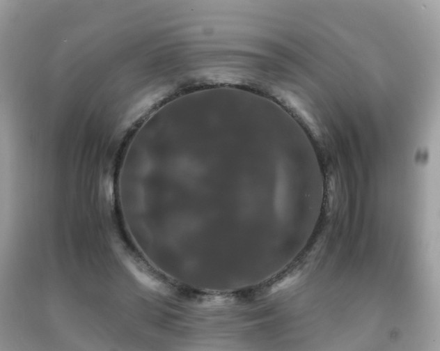 X0000091940398200709051527