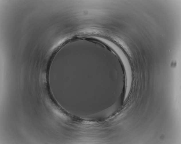 X0000091940399200709051527