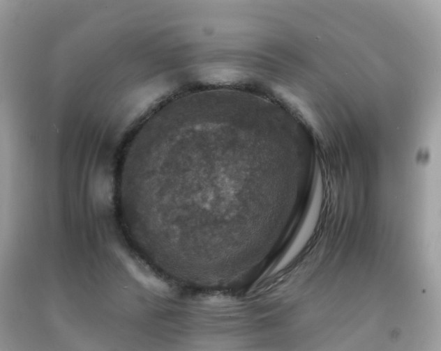 X0000091940400200709051527