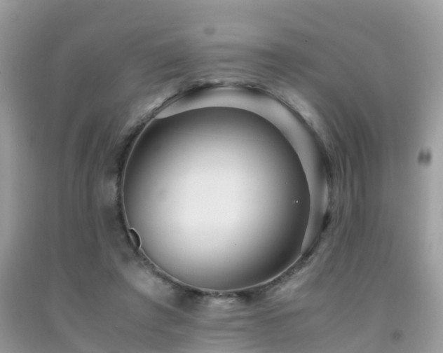 X0000091940401200709051527