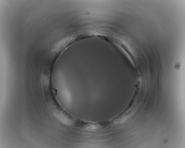 X0000091940402200709051527