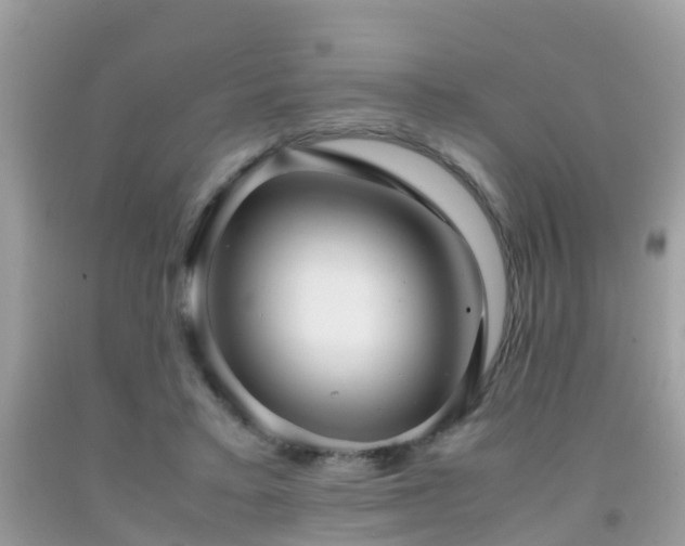 X0000091940403200709051527