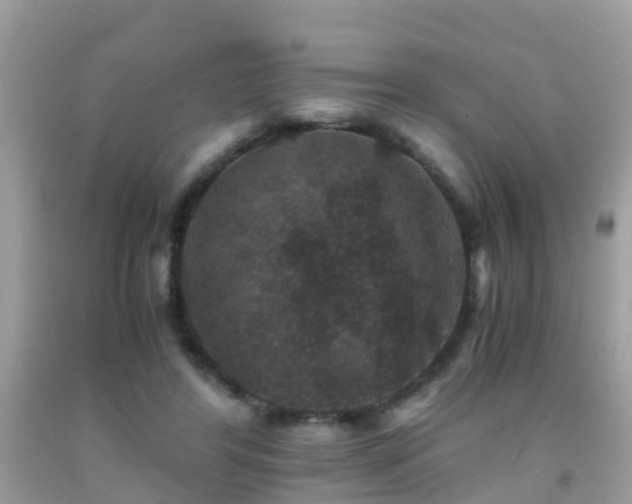 X0000091940404200709051527