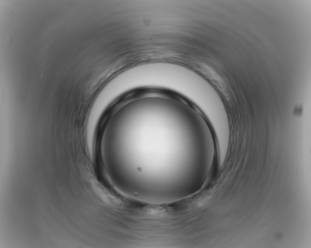 X0000091940405200709051527