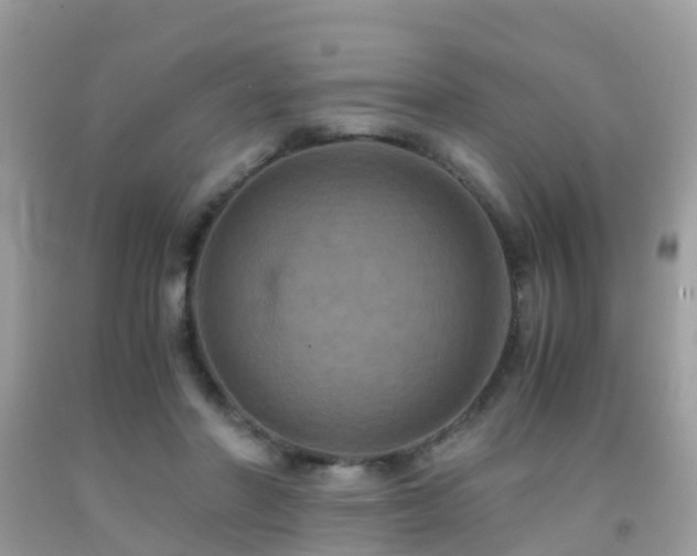 X0000091940406200709051527