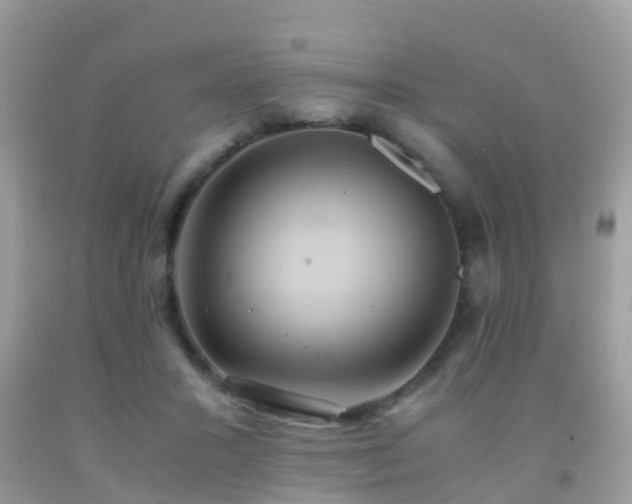 X0000091940407200709051527