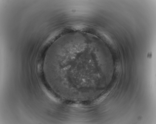 X0000091940408200709051527