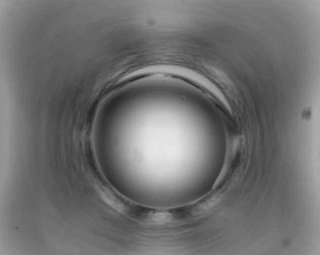 X0000091940409200709051527