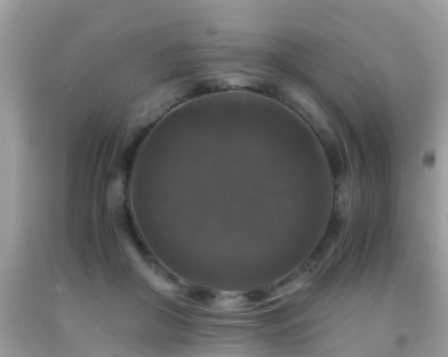 X0000091940410200709051527