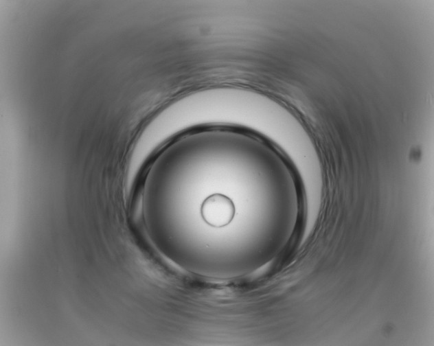 X0000091940411200709051527