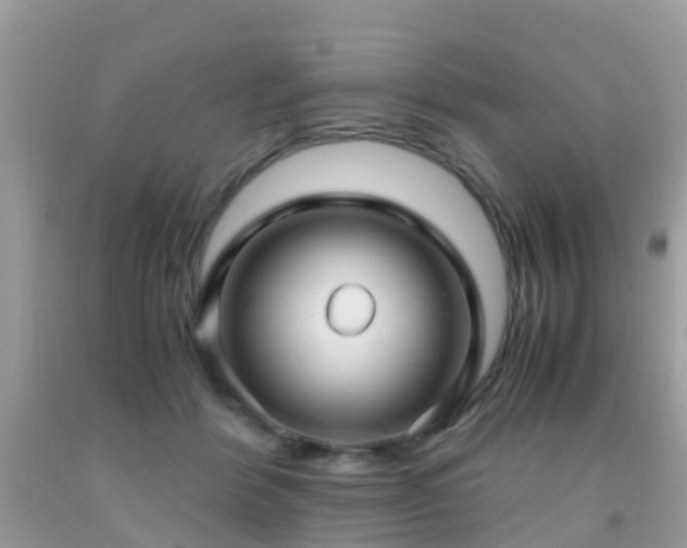 X0000091940412200709051526