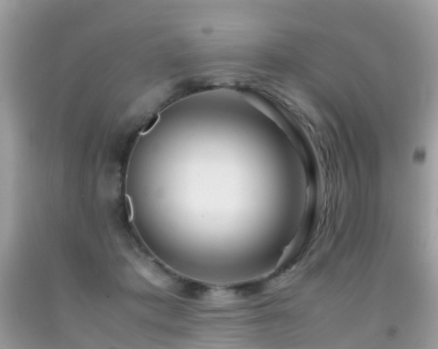 X0000091940413200709051526