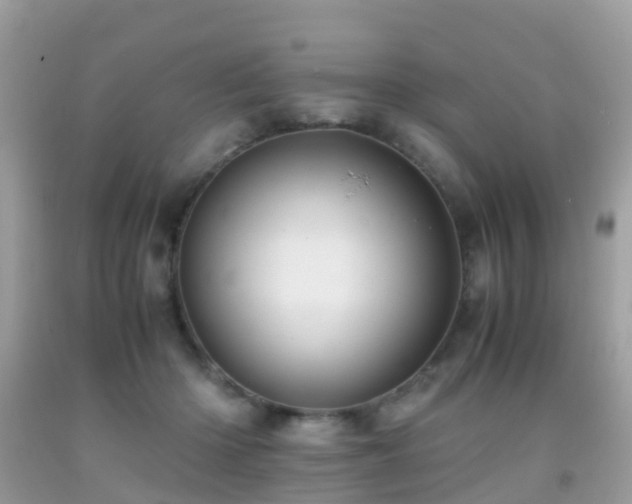 X0000091940414200709051526