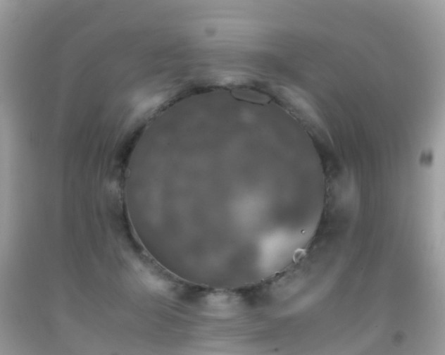 X0000091940415200709051526